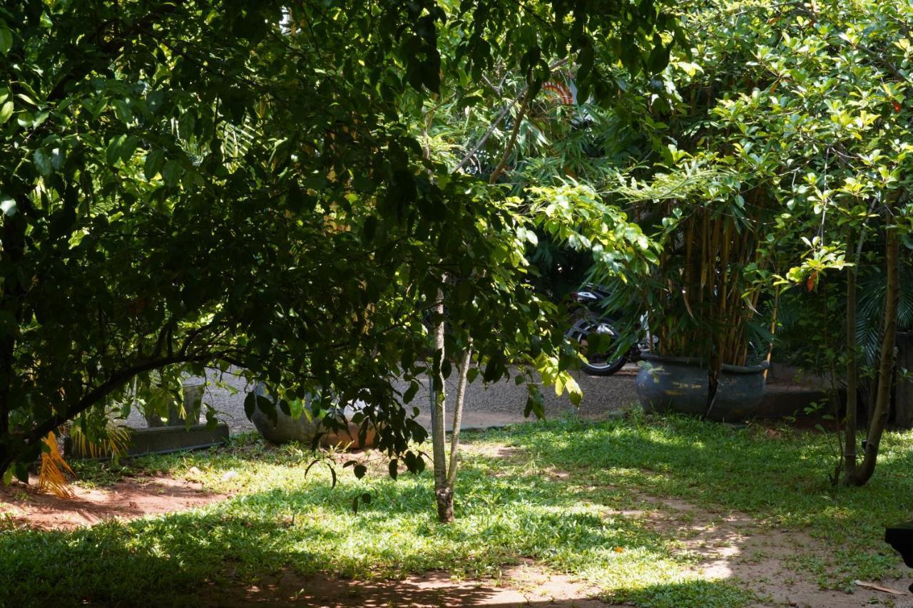 Sandra Guesthouse Dambulla Kültér fotó