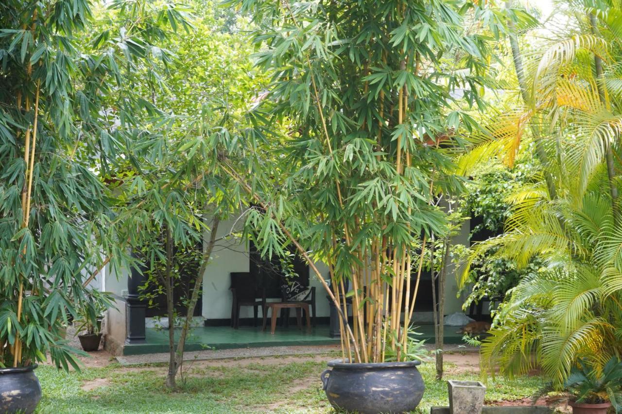 Sandra Guesthouse Dambulla Kültér fotó