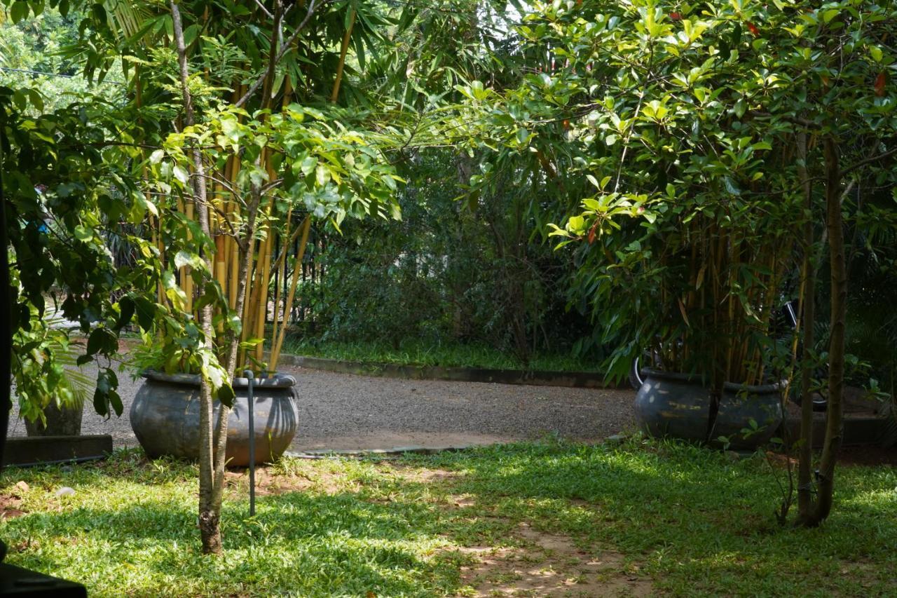 Sandra Guesthouse Dambulla Kültér fotó