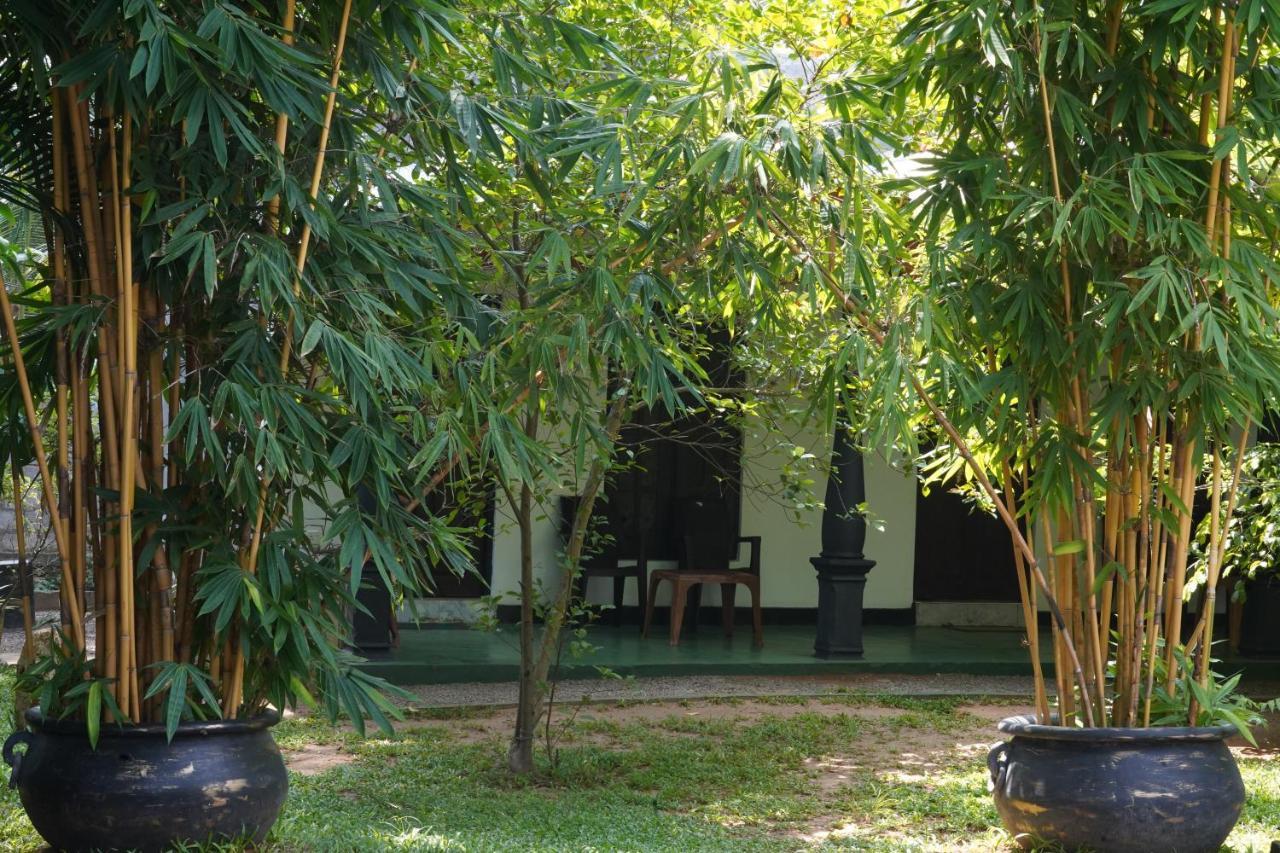 Sandra Guesthouse Dambulla Kültér fotó